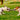 Two dogs tugging on a dog rope toy